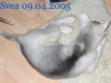 baby12