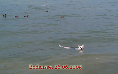bodensee07