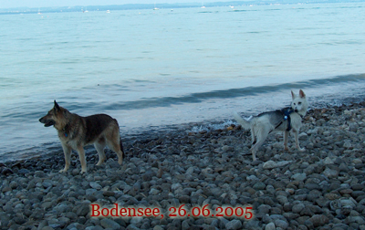 bodensee10