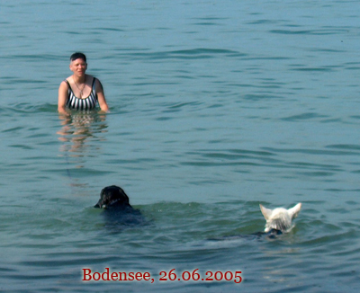 bodensee12