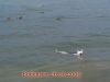 bodensee07
