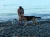 bodensee09