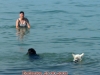bodensee12
