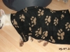 bubu05