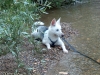 wasser02
