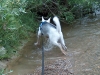 wasser03